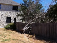 2011/09(Sep)/Texas Drought/2011-09-05-Dead Wheeping Willow-05 CC Outdoors.jpg